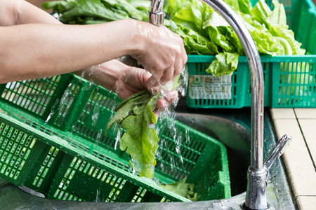 vegetable摄影照片_Hand washing leafy vegetable with running water in household sin