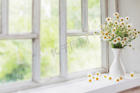 洋甘菊在窗台上花瓶