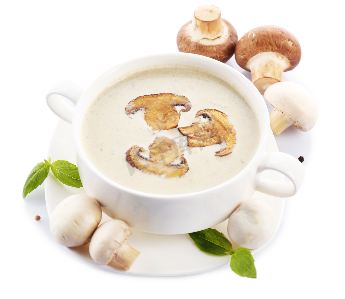 菌菇火锅汤底怎么做_菌菇火锅汤底的做法_草莓奶昔冰_豆果美食