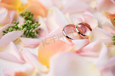 黄金珠宝摄影照片_玫瑰花瓣上的结婚戒指