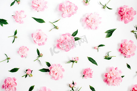 粉色牡丹花朵花卉图案