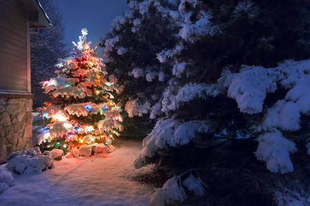 串灯摄影照片_A heavy snow falls quietly on this Christmas Tree, accented by a soft glow and selective blur, illustrating the magic of this Christmas Eve night time scene.