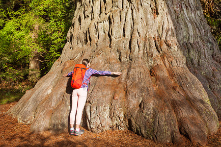 绿色拥抱摄影照片_女人的拥抱大树