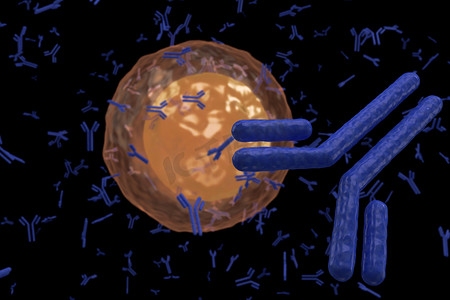 浆细胞 B 淋巴细胞产生抗体上黑色孤立