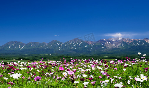 风景宇宙摄影照片_宇宙在夏天与山背景花场  