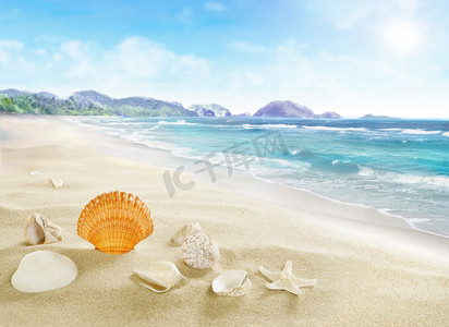 有贝壳的沙滩风景.
