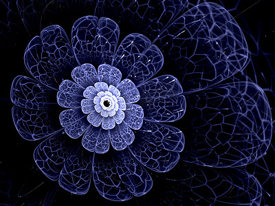 开花效果摄影照片_蓝色的分形花具花瓣，在黑色的蓝色详细信息