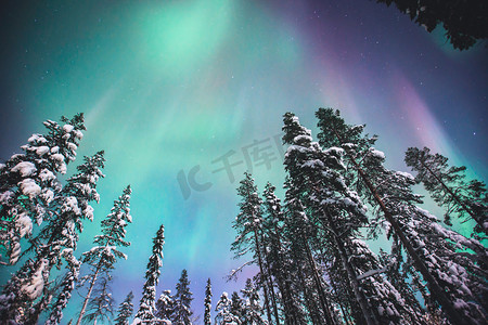 风景图画摄影照片_美丽的图画的大规模五彩绿色充满活力的北极光，极光，也知道作为北极光在夜空中拉普兰景观，挪威、 斯堪的那维亚越冬