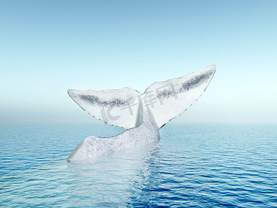 一头抹香鲸的尾鳍