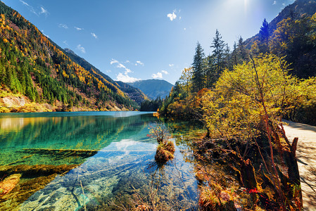 竹景观摄影照片_树木繁茂的山间箭竹湖的美丽景色