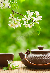 绿色茶壶摄影照片_陶瓷茶壶