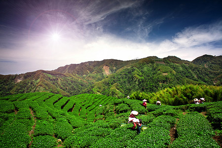 风景一套摄影照片_像中国八卦 (象征意义的符号创造一套茶的形状