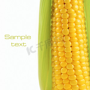 白色背景的玉米