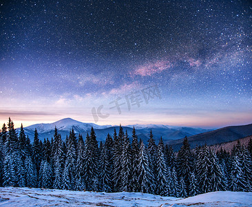 本周之星摄影照片_在冬季森林里的乳品之星迷航。戏剧性和风景如画的场面。欧盟, 乌克兰, 欧洲.