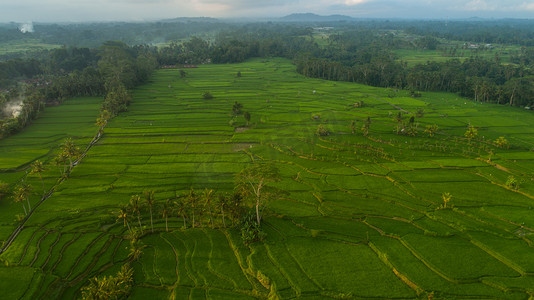 印尼巴厘岛美丽稻田鸟瞰图