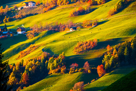 五颜六色的秋天山山风景场面在白云岩, 南蒂罗尔, 意大利