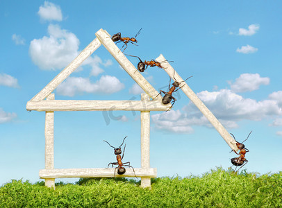 线描火柴人摄影照片_构建木房子的蚂蚁团队