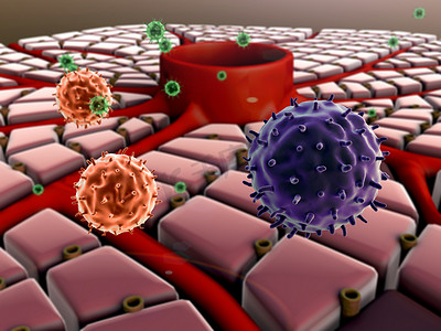 巨噬细胞摄影照片_肝脏，病毒