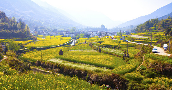 江西省摄影照片_在婺源，江西省，中国的农村风景.