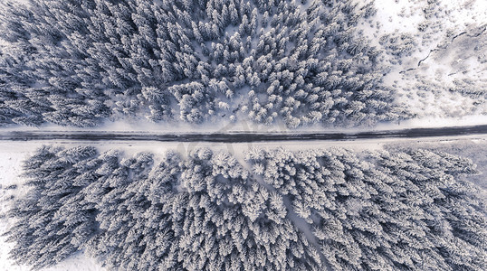 田园诗般的冬季森林中的道路鸟瞰图.