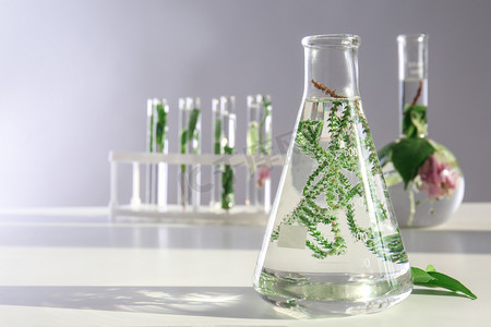 桌上有植物的玻璃瓶
