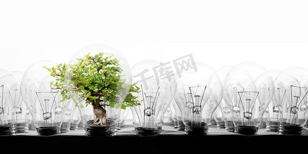 白色背景下有树的一排灯泡的照片;生态学、节电、站出来、独特与创新的概念