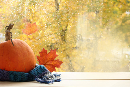 感恩节红色摄影照片_成熟的南瓜裹在一条羊毛围巾旁边的窗口与秋季景观/节日礼服为一个快乐的万圣节