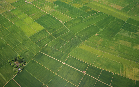 绿地草地摄影图片-绿地草地摄影作品-千库网