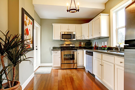 优雅的白色和绿色厨房与樱桃地板.