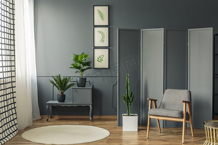 一把椅子站在一个装饰, 灰色的屏幕旁边的一个圆形地毯上的木地板和一个灰色的橱柜与植物的花瓶在一个植物园内室内