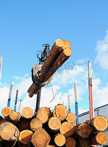 砍伐树木摄影照片_卡车起重机装载木材