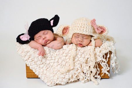 sleep摄影照片_Newborn baby girls wearing black sheep and lamb hats.