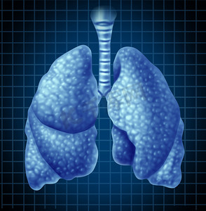 作为医疗象征人类的肺器官