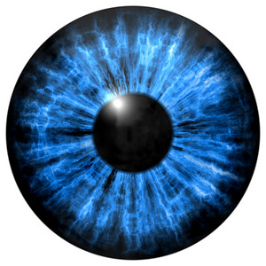 黑色招聘摄影照片_蓝色的眼睛虹膜，反射光的插图.