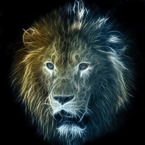 数码插画的狮子