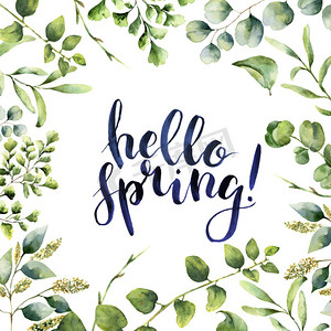绿色花朵海报摄影照片_水彩你好春天。手绘花卉卡与孤立的白色背景上的桉树、 蕨类和春天绿化分支。打印设计或背景.