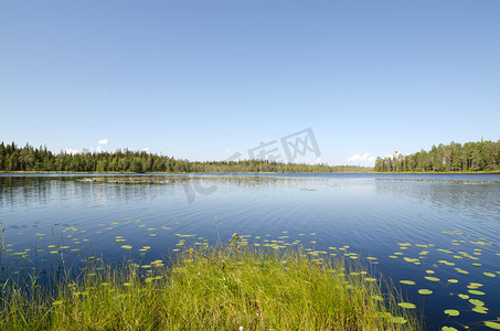 湖 Leshchevo，Kareliya 俄罗斯