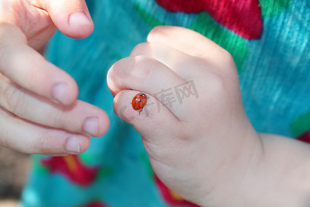 绿松石的小女孩的手指上的瓢虫特写穿衣服