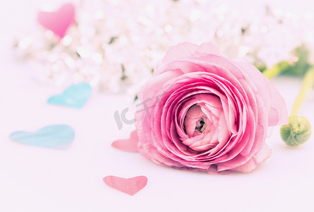 粉红色的金凤花和很多的心，定了调子