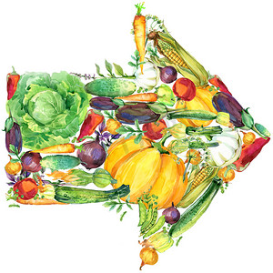 什锦原料的有机蔬菜。水彩插图。水彩的蔬菜和草药背景
