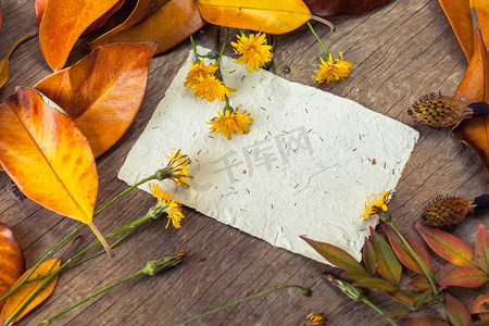 背景纹理叶子摄影照片_树叶、 花朵和纸