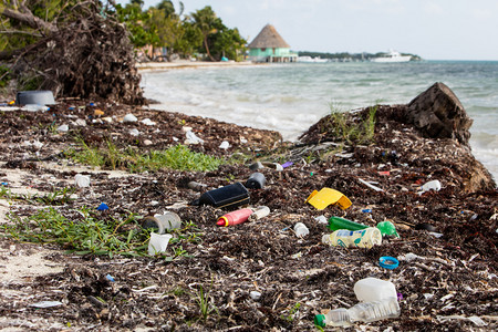 冲上加勒比海滩的塑料垃圾
