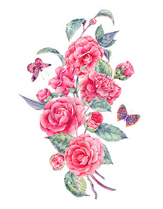 优雅粉色背景摄影照片_复古水彩园林花卉与粉色山茶