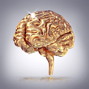 在灰色的背景上的金色大脑.