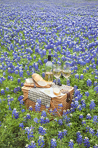 春天红酒摄影照片_与红酒，奶酪和面包在德克萨斯州山我国野餐篮子