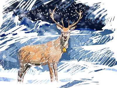 蓝色圣诞平安夜摄影照片_冬季森林中的鹿群