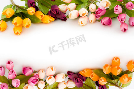 庆祝拉花摄影照片_Frame made of colourful tulips