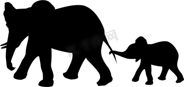 大象和婴儿