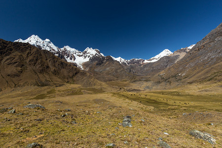 安第斯山脉的山区景观