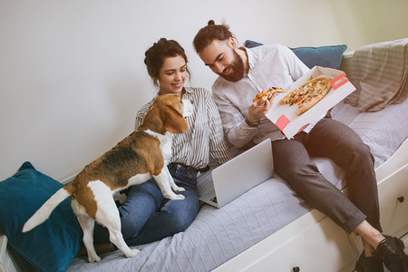 年轻的时髦夫妇家中吃披萨笔记本电脑与狗